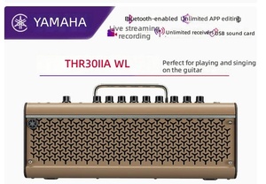 Amplificador de Guitarra Inalámbrico THR30IIA, Altavoz Portátil para Guitarra Acústica y Canto - Product Image 2