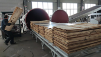 Séchoir à vide électrique pour bois dur, bois de rose et panneaux de bois lamellés