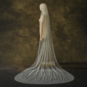 <span class=keywords><strong>Velo</strong></span> <span class=keywords><strong>da</strong></span> <span class=keywords><strong>Sposa</strong></span> in Tulle con Perle Fatte a Mano 100cm/200cm/300cm, Lussuoso <span class=keywords><strong>Velo</strong></span> Lungo con Coda e Bordo Decorato con Perline - Product Image 6