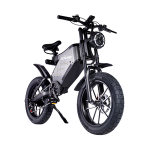 RZOGUWEX X5S 48V 1000W 25Ah MaxSpeed 55-60 Km/h Fat Tyre 20*4.0 Autonomie 90Km Double Suspension 7 Vitesses Double Frein Capacité de Charge 200Kg - Product Image 2