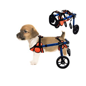 Fauteuil roulant pour petit <span class=keywords><strong>chien</strong></span>, équipement de réadaptation pour animaux de compagnie, aide à la mobilité, cadre de soutien réglable, fabricant OEM ODM - Product Image 1