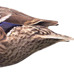 Palhetas realistas leves e duráveis para caça de pássaros aquáticos, iscas de silhueta de pato