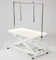 PetFit Grande table de toilettage professionnelle lumineuse à LED pour chien avec télécommande Table de toilettage électrique pour chien et chat