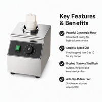 Chauffe-sauce commercial électrique, capacité 0,8 L, plage de température 30-85°C, équipement de cuisine et de restauration professionnelle