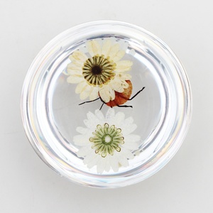 Espécimen de flor de insecto medio redondo de 67mm en artesanías de resina Decoración de mesa ámbar transparente - Product Image 6