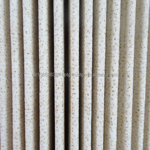 Cartucho de filtro de polvo Filtro plisado ignífugo Colector de polvo Filtro de celulosa Filtro de aire - Product Image 1