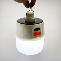 Ampoule LED solaire rechargeable par USB 80W avec indice de protection IP65, double couleur de lumière (chaud/blanc), certifiée CE et RoHS, à intensité variable pour le camping