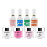 BIN Private Label Dip Powder Nail Kit Starter Set Nude Pink Gray Système de poudre à tremper en acrylique Liquid Set Kit de système acrylique
