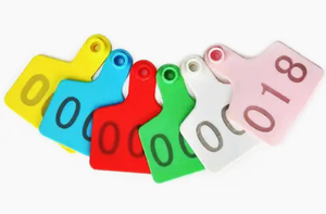 Bán Chạy Nhất Reputech Laser Đánh Dấu Phụ Gia Cho An Ninh Con Dấu Nhựa Thạc Sĩ Lô Trên Bán Số Lượng Lớn - Product Image 4