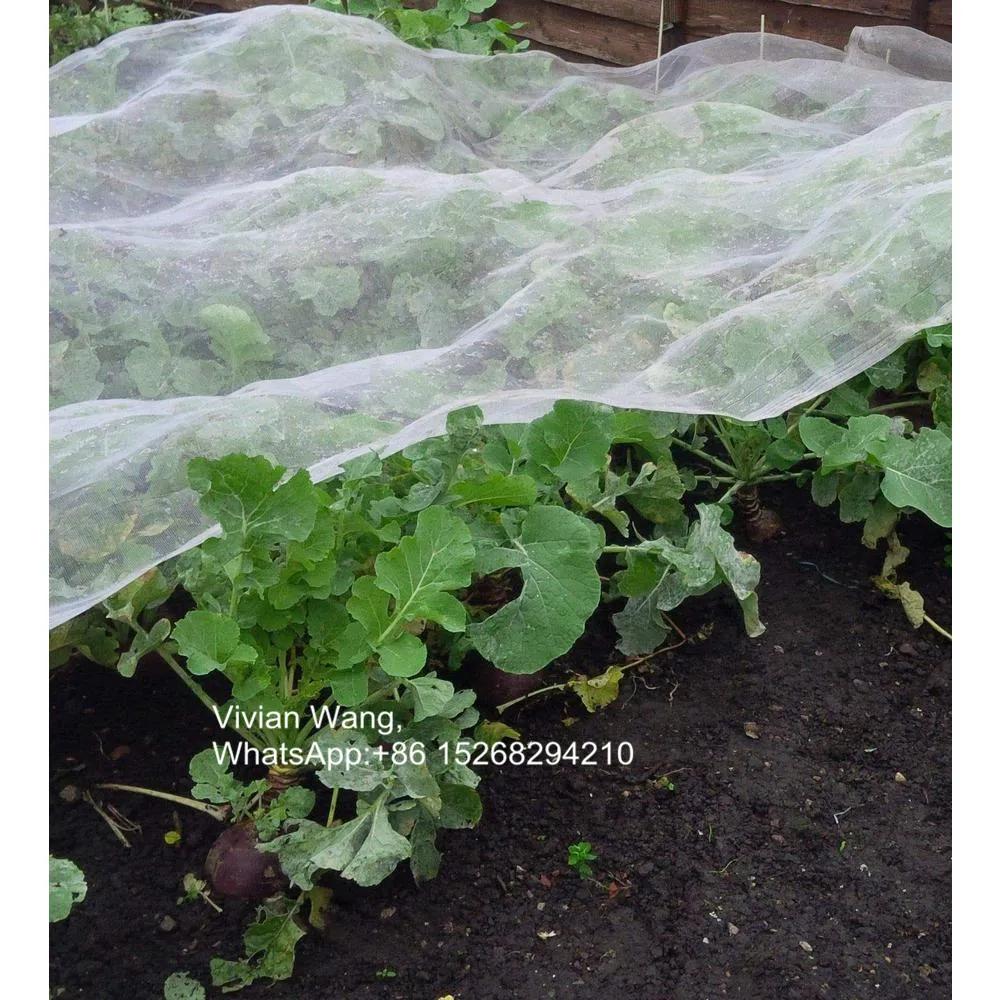 昆虫バリアしかしネット蚊帳ガーデンネット保護植物野菜花果物8フィート * 10フィート