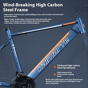 Bicicletas de carretera, planos de bicicleta, Manillar curvo, frenos de disco, velocidad variable para hombres y mujeres adultos, conducción ligera - Product Image 4