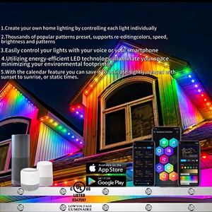 Ucs2904 đá quý phong cách vĩnh viễn ngoài trời IP68 Led RGB ánh sáng D30mm nhôm theo dõi đèn cho Giáng sinh - Product Image 6