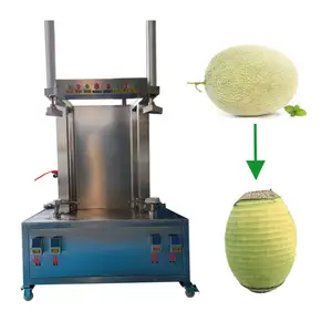 Prix d'usine Citrouille/Pastèque/Taro Peeling Machine