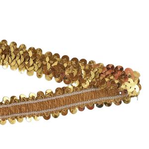 2cm 40Y ucuz kostüm dikiş dantel şerit dokuma altın siyah mor giyim sıkı kırpma 2-row payetli elastik şerit süs - Product Image 1