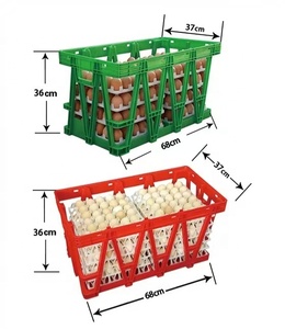 360 CAISSES DE STOCKAGE EN <span class=keywords><strong>PLASTIQUE</strong></span> POUR ŒUFS, PANIÈRES DE TRANSPORT EN PP À MAILLES POUR ŒUFS, FRUITS ET LÉGUMES, CAISSE À FRUITS/LÉGUMES POUR LA FERME - Product Image 1