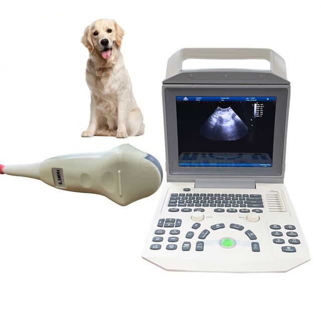 SYA-150_Vet Ultrasonic Diagnostic Imaging System Ultrasound Scanner Digital Ultrasound Portable Laptop B/W Ultrasound Machine