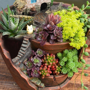 QY Vintage Succulent <b>Planter</b> With Cottage Roof Garden Desktop Indoor Flower Pot For Office Balcony Decor - Product Image 2