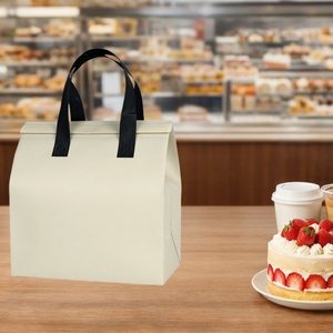 Paquete de 500 Bolsas Térmicas para Picnic, Impermeables, de Gran Capacidad, con Aislamiento Térmico, Modernas, Duraderas, de Tela No Tejida, para Paneles Solares - Product Image 6