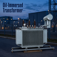 Transformateur de distribution triphasé immergé dans l'huile pour usage agricole et parcs industriels, 63KVA, 80KVA, 100KVA, 160KVA, 6kV, 10kV