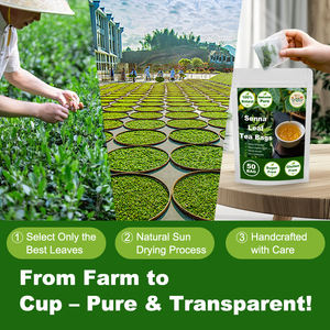 Thé Détox aux Herbes Naturelles Marque Blanche : Thé aux Feuilles de <span class=keywords><strong>Séné</strong></span> (Folium Sennae) en Sachets pour la Détoxification - Product Image 4