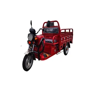 Factory Motorcycle Charger Motorbike 9 Motor48v900w Motor Trade Dual Hub 3 Wheel Electric Cargo Tricycle For