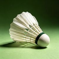 Volant de badminton en plumes d'oie de classe A+ avec tête en liège et bord de lame - Qualité professionnelle pour les matchs, super durable, directement de l'usine OEM