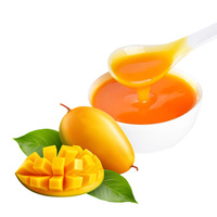 Sirop concentré aromatisé à la mangue 19 Brix en bouteille certifié Halal 2L pour la production et les échantillons