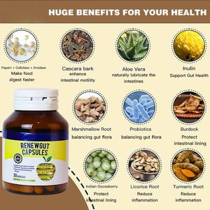 Suplemento em Cápsulas de Garcinia Cambogia <span class=keywords><strong>500mg</strong></span> para Queima de Gordura, Ação Rápida na Digestão e Supressor de Apetite para Perda de Peso - Mais Vendido - Product Image 4