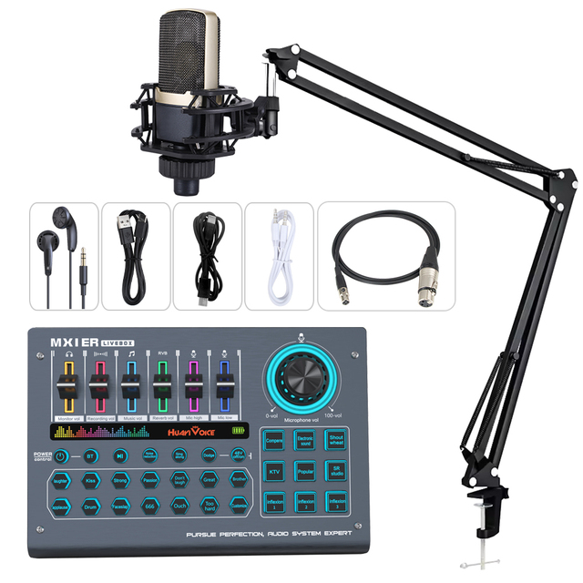 Professional USB Audio Interface With 48V Capacitive Microphone 2 in 2 Out Recording Studio Sound Card for Gaming Living Singing