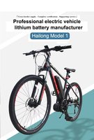 Batterie longue portée Hailong Shark Case pour vélo électrique 48V10.4Ah, pack de batteries au lithium 18650, 1000 cycles