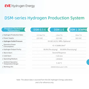 EVE水素エネルギーモデルAEM電気分解機モジュラー水素生成3Nm/h出力99.9%-99.999% 純度アルカリ - Product Image 4