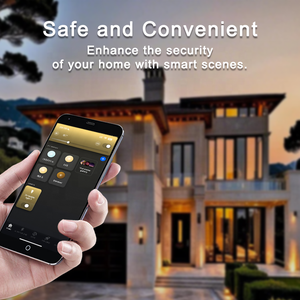 Boîtier numérique intelligent Zigbee Bilihondim, variateur 1 canal 200W DMX512 sans fil, portée 30m, compatible Google Assistant, installation facile - Product Image 2