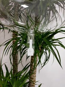 원통형 셀프 씰링 보보 풍선 스트레칭 버블 클리어 풍선 생일 파티 장식용 투명 파스텔 풍선 - Product Image 3