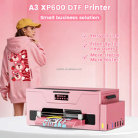 Mesin Transfer Panas Desktop Bisnis Kreatif untuk Desain Kaos Personal dan Pencetakan Pakaian dengan Printer DTF Haolic