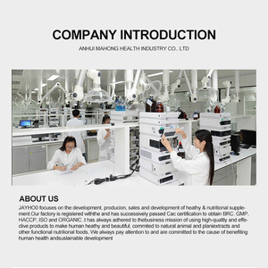 Чай из сушеных листьев сурса-гапа премиум-класса (OEM/ODM) |   Чай для натурального детокса и антиоксидантной защиты |   Травяной чай для оздоровления - Product Image 5