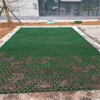 Grille de pavage en plastique pour gazon, gravier, allées de voiturettes de golf, grille de gazon