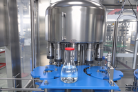 Machine automatique de remplissage et de bouchage de liquides, 12 têtes, bouchon à vis, acier inoxydable, sans bouteille, sans remplissage, pour boissons non gazeuses