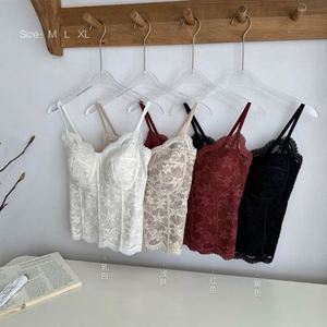 Sexy Wives Lingerie - Wholesale High Quality Underwear Sexy Wives Lingerie - Wholesale High Quality Underwear