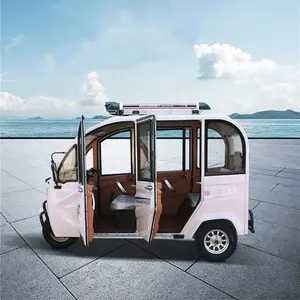 Manufacturer Price Electric Trike Enclosed 5 Doors 3 Wheel Delivery Car With Low Price