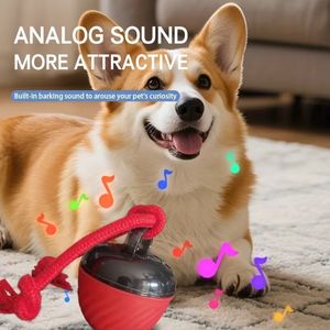 Balle interactive pour chien avec son, jouet de lance et de ramassage, balle à mâcher en corde pour l'entraînement en intérieur - Product Image 1