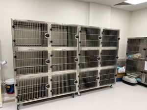 Proveedores de jaulas para mascotas de acero inoxidable, jaula para mascotas de capa, casa, Veterinario de animales y bancos de jaulas para perros y veterinarios - Product Image 3