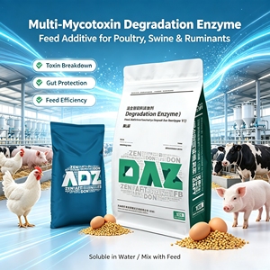 Améliorer la qualité des coquilles <span class=keywords><strong>d</strong></span>'œufs, prolonger la période de ponte et éliminer la moisissure des aliments. Additifs alimentaires. Enzymes <span class=keywords><strong>d</strong></span>égradantes de mycotoxines. Additifs pour l'alimentation animale. - Product Image 4