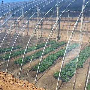 Cường độ cao Thương mại nông nghiệp Poly vòm nhà màu xanh lá cây cà chua phim nhựa nhà kính để bán - Product Image 3