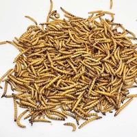 Bonne qualité Nouveautés Poisson séché Insecte Nourriture pour animaux de compagnie Protéine Superworms séchés Ver de farine géant