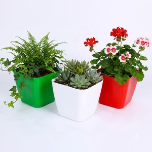 Modern Square PP Plant Pot Size 13.5 x 13.5 x 12 cm Green White Red Color Rounded Corner Flower Planter for Indoor Outdoor - Product Image 1