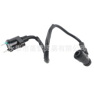ATV Off-Road Vehicle <b>Motorcycle</b> Compatibility High-Voltage Transformer Igniter GY6125/70 <b>Motorcycle</b> <b>Electrical</b> Ignition <b>Systems</b> - Product Image 3