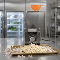 200W Commerciële knoflookschilmachine 25kg/u output Roestvrijstalen elektrische knoflookschilmachine