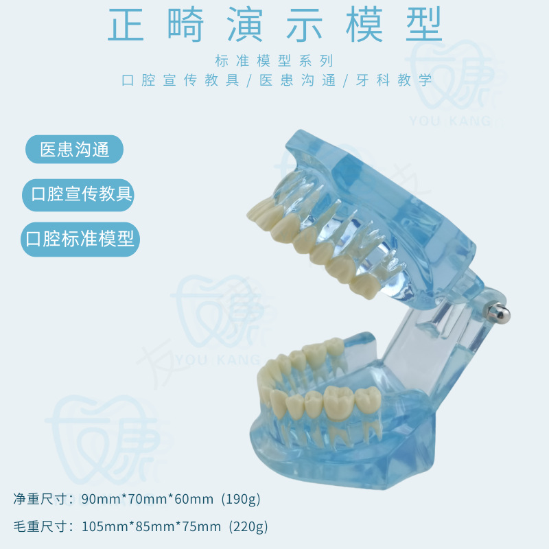 Normal orthodontic model blue