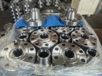 ODM304 316 304L 316L Bride à souder en acier au carbone forgé Standard ASME B16.5 Sch40 Sch80 ASTM A105 Bride à souder