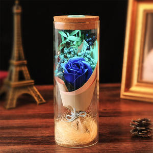 Valentime's Day <b>Gift</b> Shiny Eternal Flower <b>Beauty</b> <b>and</b> <b>the</b> <b>Beast</b> Rose in a Glass Dome String Light Mother <b>Gift</b> Flowers Home Decor - Product Image 6